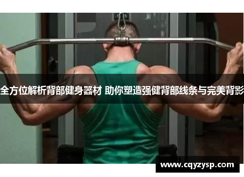 全方位解析背部健身器材 助你塑造强健背部线条与完美背影