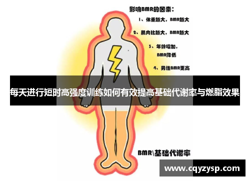 每天进行短时高强度训练如何有效提高基础代谢率与燃脂效果