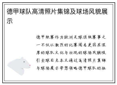 德甲球队高清照片集锦及球场风貌展示