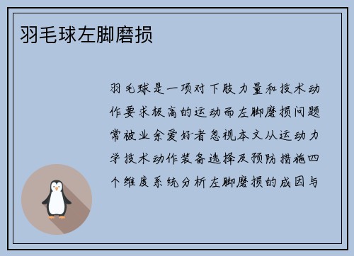 羽毛球左脚磨损